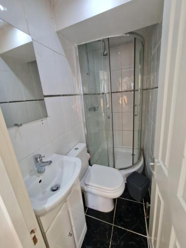 La salle de bains est pourvue de toilettes, d'un lavabo et d'une douche. dans l'établissement Smart & Bright Apartment, à Londres