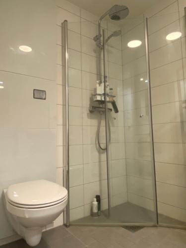 een badkamer met een douche en een toilet bij The Heart of Tromsø city Apartment in Tromsø