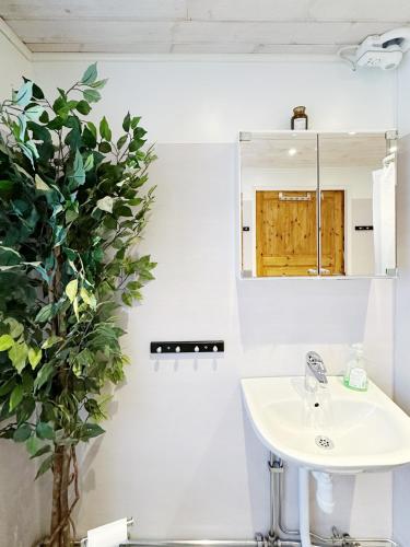 a bathroom with a sink and a potted plant at Ystad Holiday Houses in Ystad