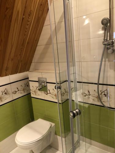 un baño con inodoro y ducha en Zaśnieżony Domek przy Dolinie Chochołowskiej, en Witów
