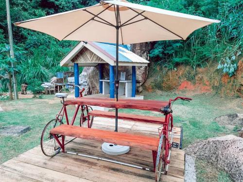 Jardín al aire libre en Gorgeous and Peaceful Guest House