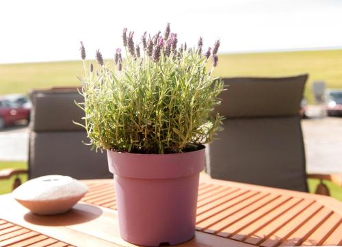 a plant in a pot on a table with a computer mouse at Perlekieker 1 in Büsum