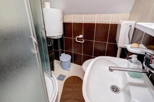 a small bathroom with a toilet and a sink at Domaćinstvo Spasenić in Ribnica