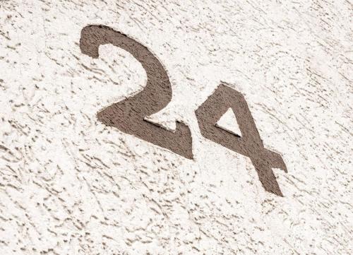 Muschel24 photo 26