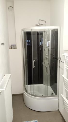a bathroom with a glass shower in the corner at Apartmány u Martina in Javorník
