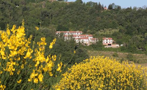 a group of houses on a hill with yellow flowers at Residence Città Ideale in Urbino