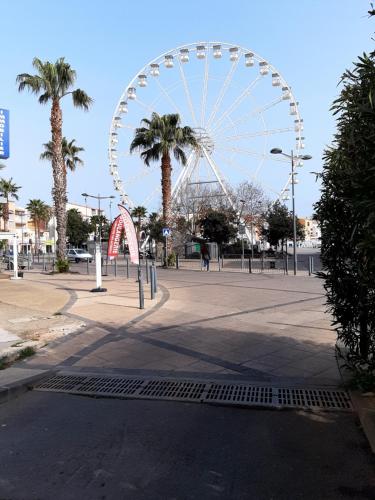 a ferris wheel in a park with palm trees at TROP COOL in Cap d'Agde