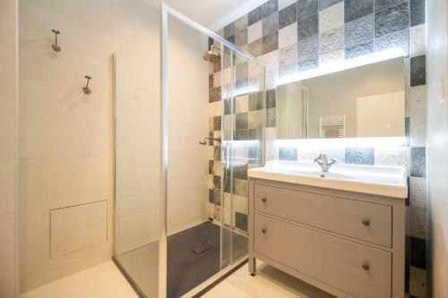 La salle de bains est pourvue d'un lavabo et d'une douche. dans l'établissement Le Laurencin Sens - Le cocon, à Sens