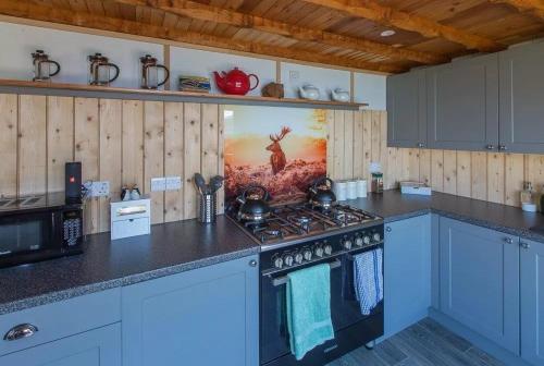 una cucina con armadi blu e un piano cottura con forno di Doune Bay Lodge 