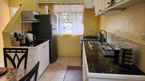 Una cocina o zona de cocina en Caribbean Dream Vacation Property CD1