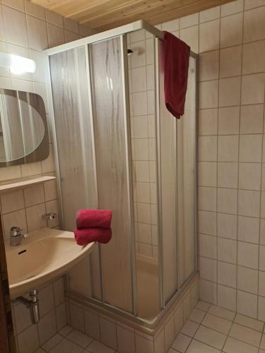 ein Bad mit einer Dusche und einem Waschbecken in der Unterkunft Ferienwohnung Nancy in Jerzens