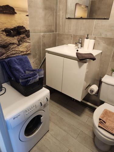 y baño con lavadora y lavamanos. en Charmant studio entre mer et forêt, en Saint-Mandrier-sur-Mer