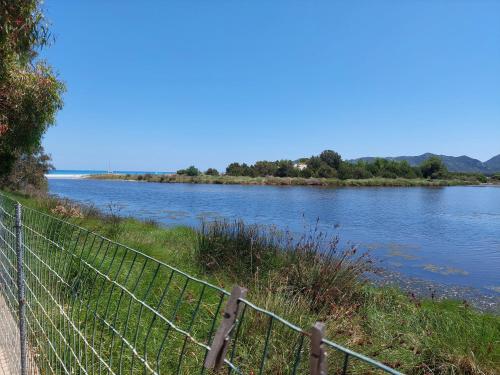 ゲストハウスの近くで見られる自然の景観