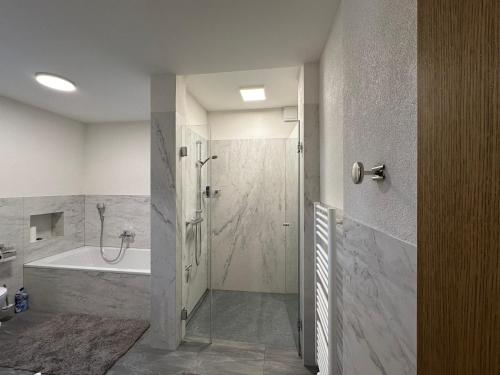 a bathroom with a shower and a tub and a sink at Schöne Ferienwohnung im Landhaus in Stadtlengsfeld