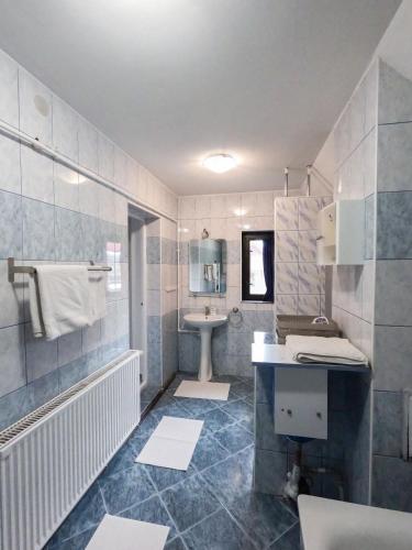 a bathroom with a sink and a toilet and a tub at Cazare la Mitică in Subcetate