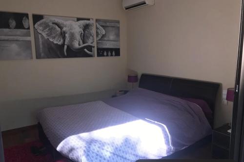 Photo de la galerie de l'établissement VILLA contemporaine avec piscine, à Fréjus