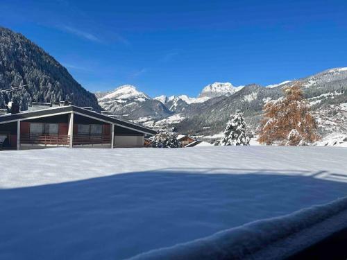 Appartement-Châtel / Apartment-Châtel-resort