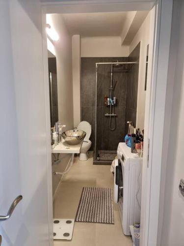 a bathroom with a shower and a toilet and a sink at Cosy studio in Bucharest