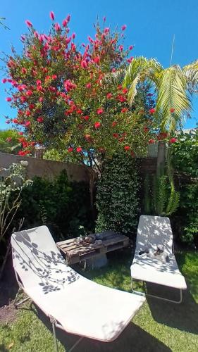 2 chaises, une table et un bush avec des fleurs dans l'établissement Lo de Tini, à Gualeguaychú