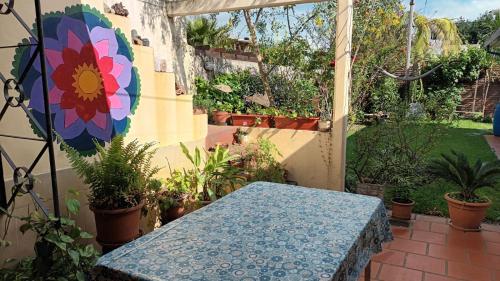 a patio with a blue table in a garden at Lo de Tini in Gualeguaychú