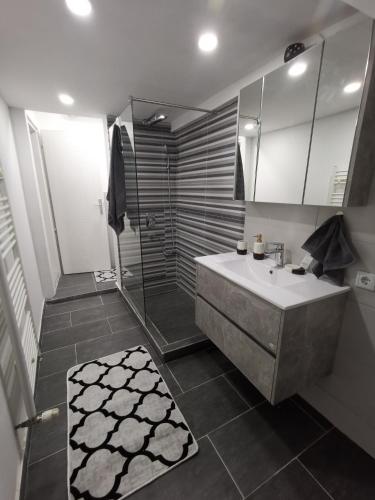 a bathroom with a sink and a shower at CENTRAL Apartment in Sarajevo