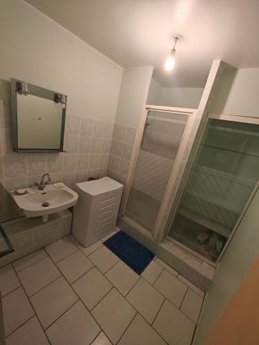 y baño con ducha, aseo y lavamanos. en Chambre Poitiers en Poitiers