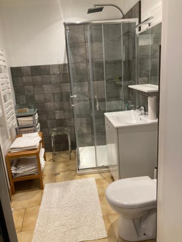 une salle de bain avec une douche, des toilettes et un lavabo dans l'établissement Apartloisir, à Malaucène