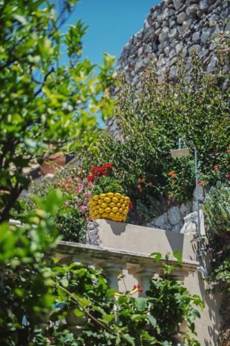 a bunch of flowers and plants on a wall at Hotel Villa Taormina in Taormina