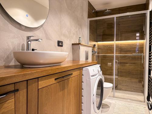 La salle de bains est pourvue d'un lavabo et d'un lave-linge. dans l'établissement Modern apartment Leon, à Gozd Martuljek