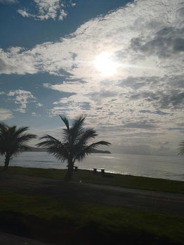 Deux palmiers sur la plage avec le soleil dans le ciel dans l'établissement Lazer Caraguatatauba ✓, à Caraguatatuba