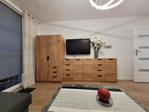 Televisyen dan/atau pusat hiburan di Ludowa apartament