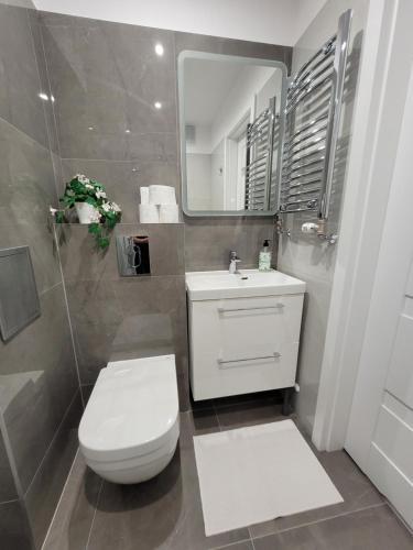 a bathroom with a toilet and a sink and a mirror at Ludowa apartament in Biskupiec