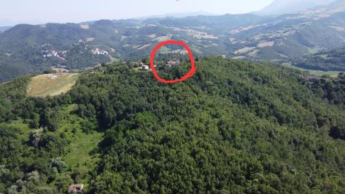 a red circle on top of a hill with trees at Un sogno nel bosco in Montefortino