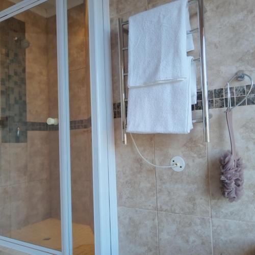 a bathroom with a shower with a glass door at Harbour Close Home in Cape Town
