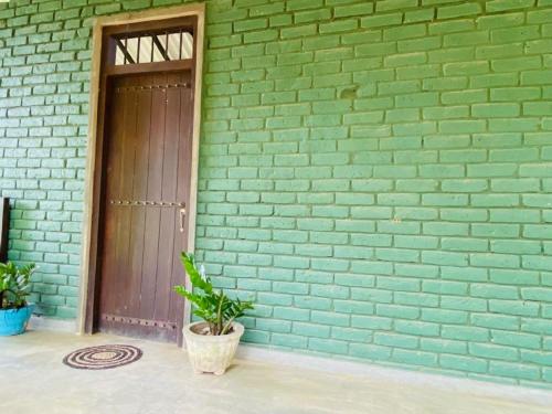 a green brick wall with a door and a plant at Yala Ying Yang Hostel & Camping in Yala