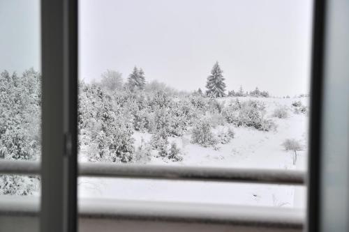 a view of a snow covered forest from a window at Ramondia, Kopaonik in Kopaonik