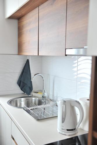 a kitchen counter with a sink and a mixer at Ramondia, Kopaonik in Kopaonik