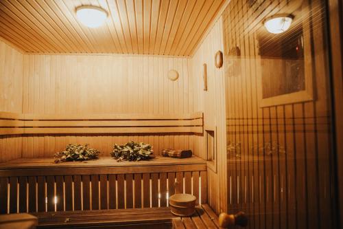 a sauna with two plants on a wooden bench at Guest House Lorem in Daugavpils