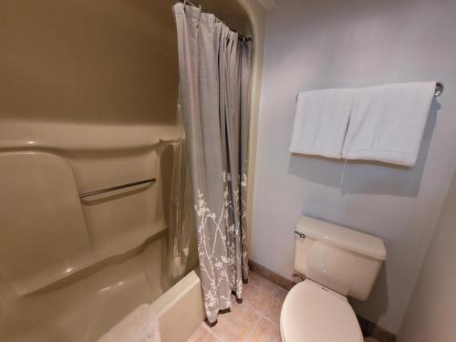 a bathroom with a toilet and a shower with towels at Quiet Lofted Studio at Tomboy Lodge in Telluride