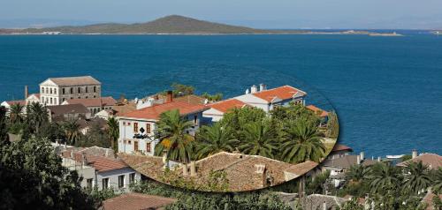 un'isola nell'oceano con case e palme di Ferahi Evler Ayvalık a Ayvalık
