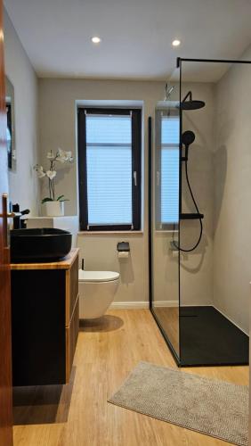 戈斯拉爾的住宿－Ferienwohnung Naturnah，浴室配有卫生间、盥洗盆和淋浴。