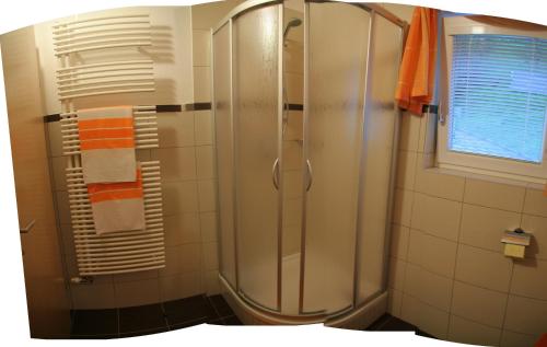 uma casa de banho com um chuveiro e uma porta de vidro em Haus Barbara Breuer em Neukirchen am Grossvenediger