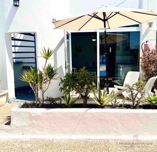 15 Puerto del Carmen Kokomo