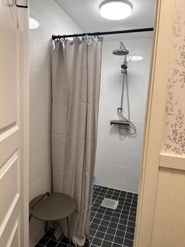 a shower with a shower curtain in a bathroom at Northernlight cabin 2 in Kiruna