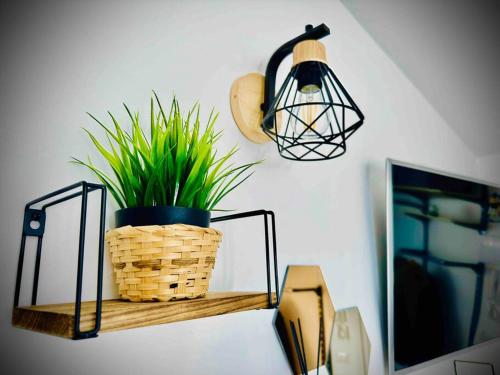 Billede fra billedgalleriet på Nido Alpino Sestriere i Sestriere