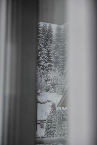 a window with a view of a snow covered forest at Ramondia, Kopaonik in Kopaonik