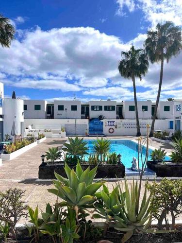 17 Puerto del Carmen Blueshark