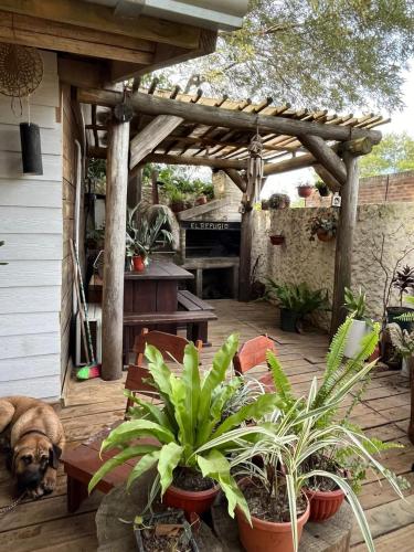 a dog laying on a wooden deck with plants at Cabaña Kaisen- By Complejo el Refugio in Las Toscas