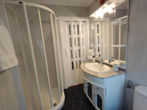La salle de bains est pourvue d'un lavabo et d'une douche en verre. dans l'établissement Apartamento La Luz de Reinosa 3, à Reinosa