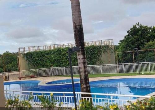 a palm tree sitting next to a swimming pool at apartamento confortavel no aracagir ,1 km da praia. in São Luís
